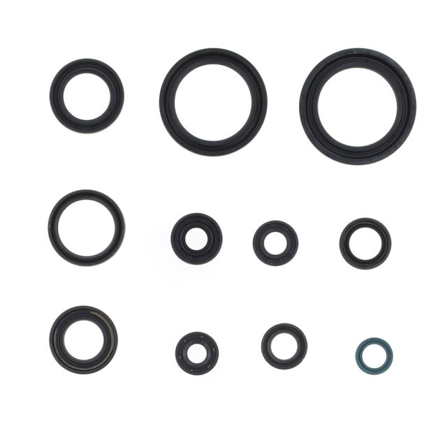 Engine Seal Set Centauro Honda CRF 250 R (04-17) 666A310SR