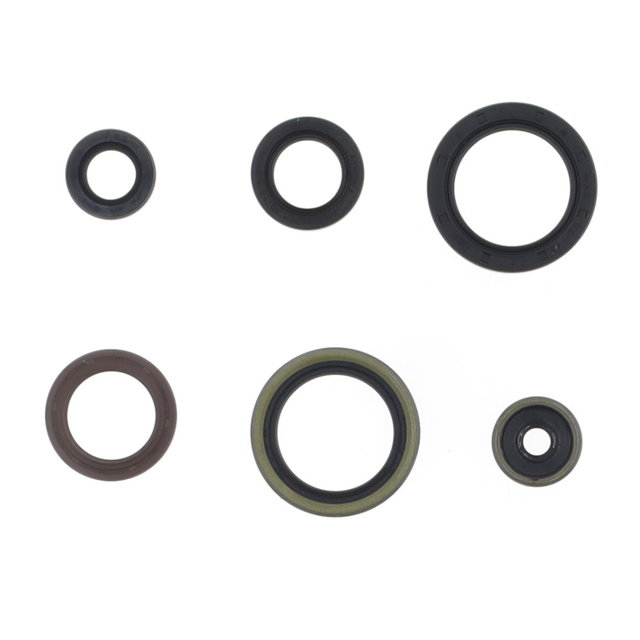 Engine Seal Set Centauro KTM 125 XC-W (17-19) 731A669SR