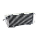 DS16.003L