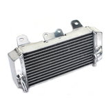 DS16.006L