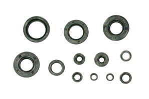 Engine Seal Set NRTeam Fantic 125 XE (21-23) GK7012OS
