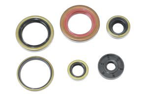 Engine Seal Set NRTeam KTM 250 SX-F (06-12) GK8014OS