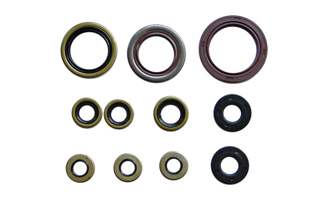 Engine Seal Set NRTeam KTM 350 SX-F (13-15) GK8016OS