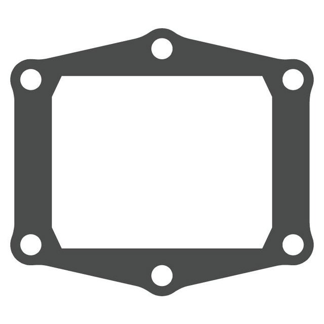 Reed valve Gasgas 300 EC (99-18) - V-Force 3 (gasket only) MTG305