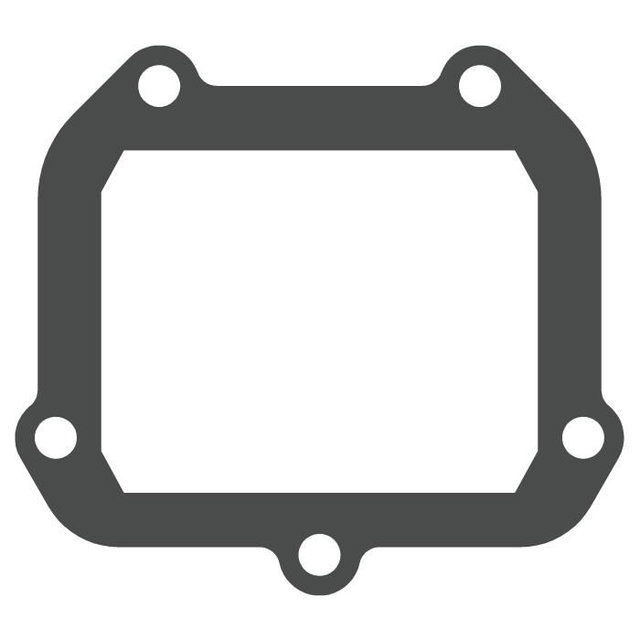 MTG306