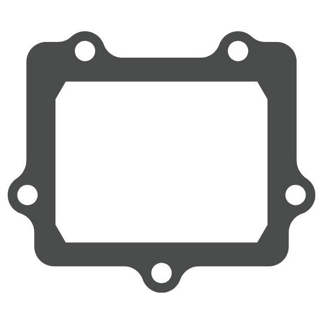 Reed valve Kawasaki KX 250 (05-08) - V-Force 3 (gasket only) MTG307